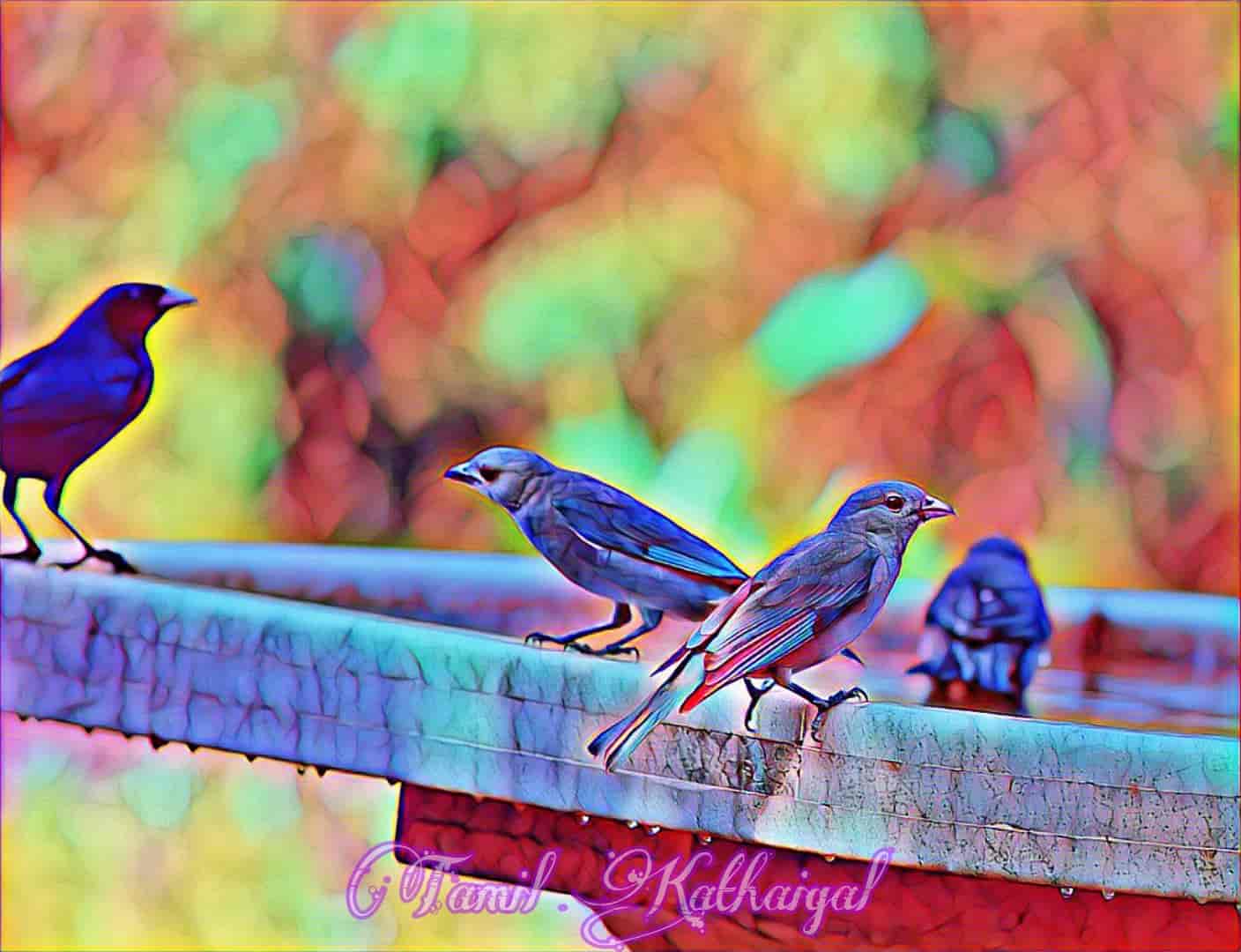  Thirsty Crow Moral Stories In Tamil 